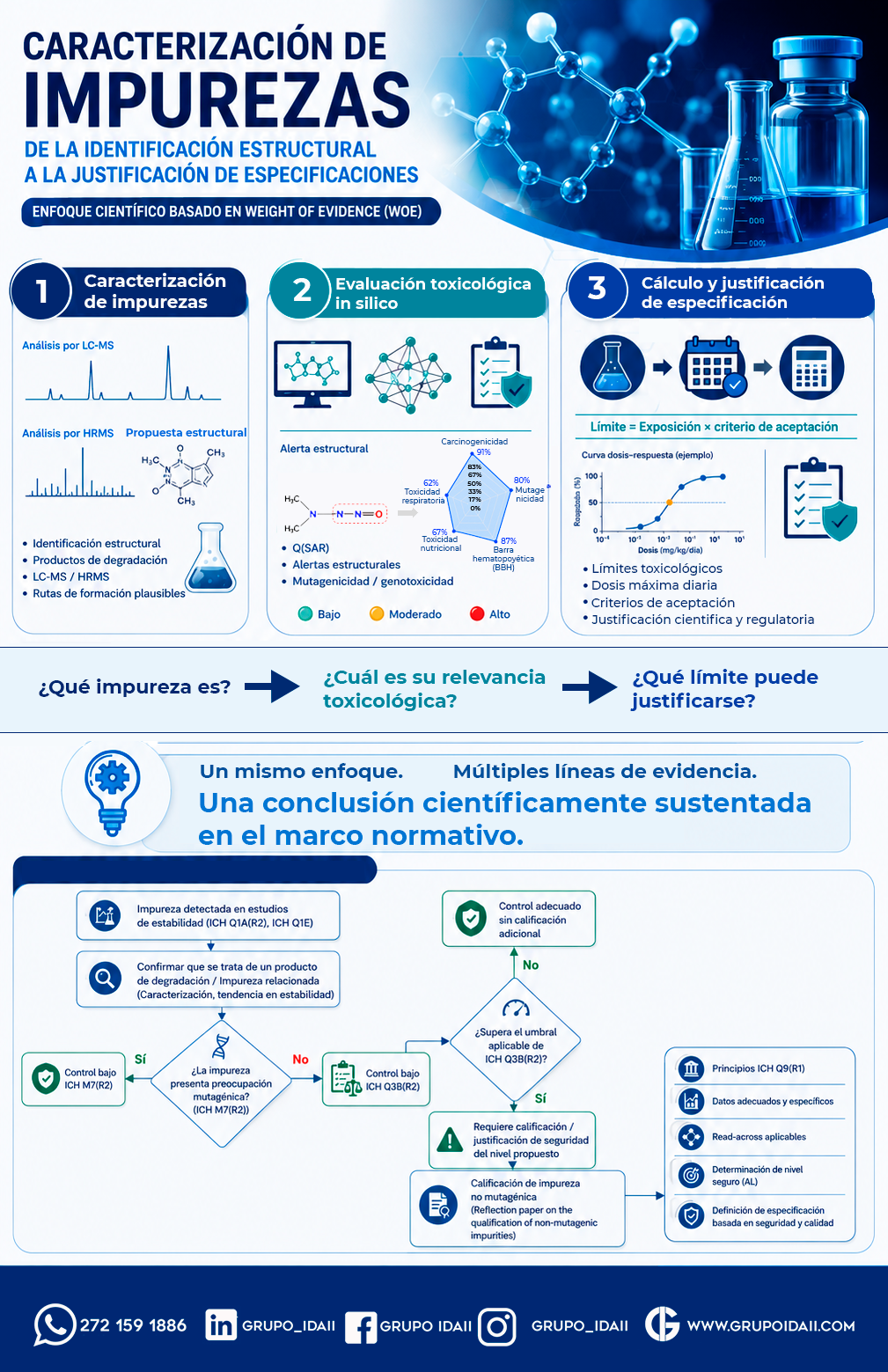 Caracterización de impurezas elementales